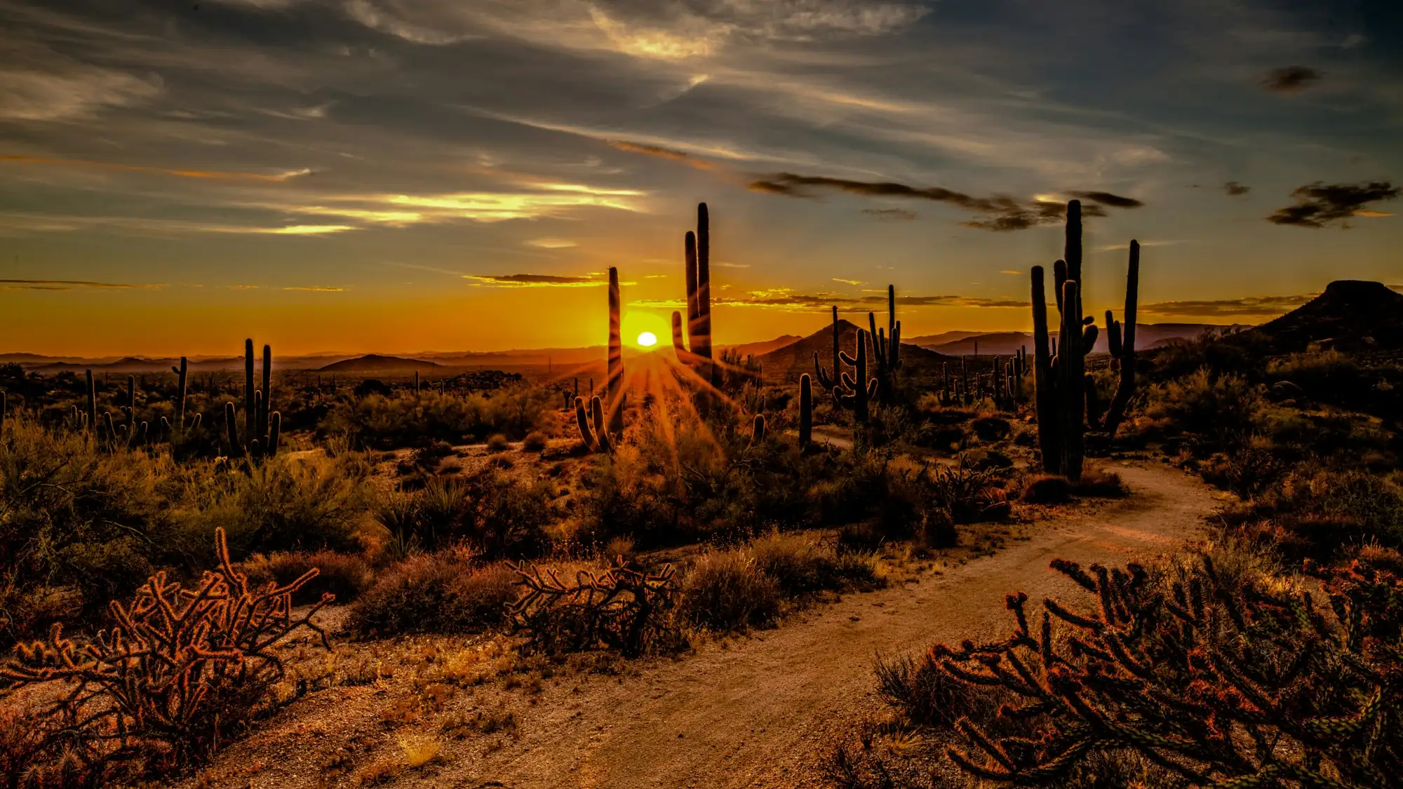 Scottsdale desert at sunset (placeholder photo)
